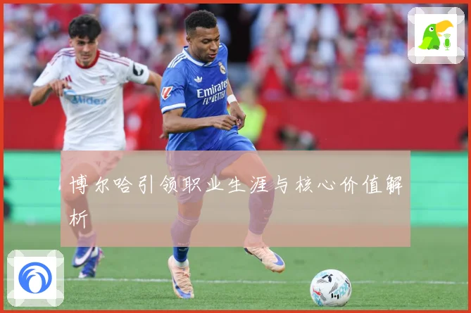 博尔哈引领职业生涯与核心价值解析