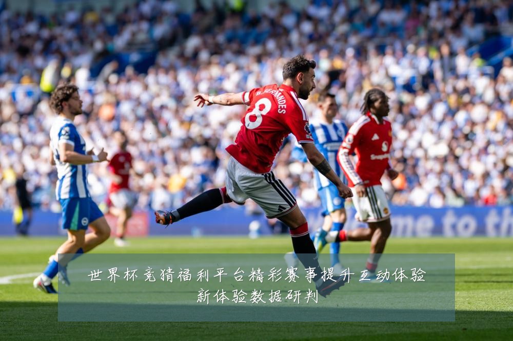 世界杯竞猜福利平台精彩赛事提升互动体验新体验数据研判